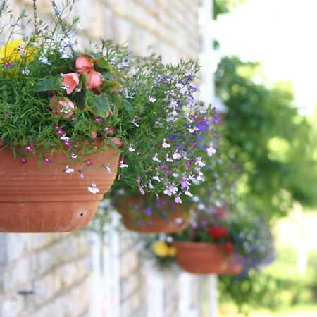 Hotel Crossways Wells Zewnętrze zdjęcie Flower pots